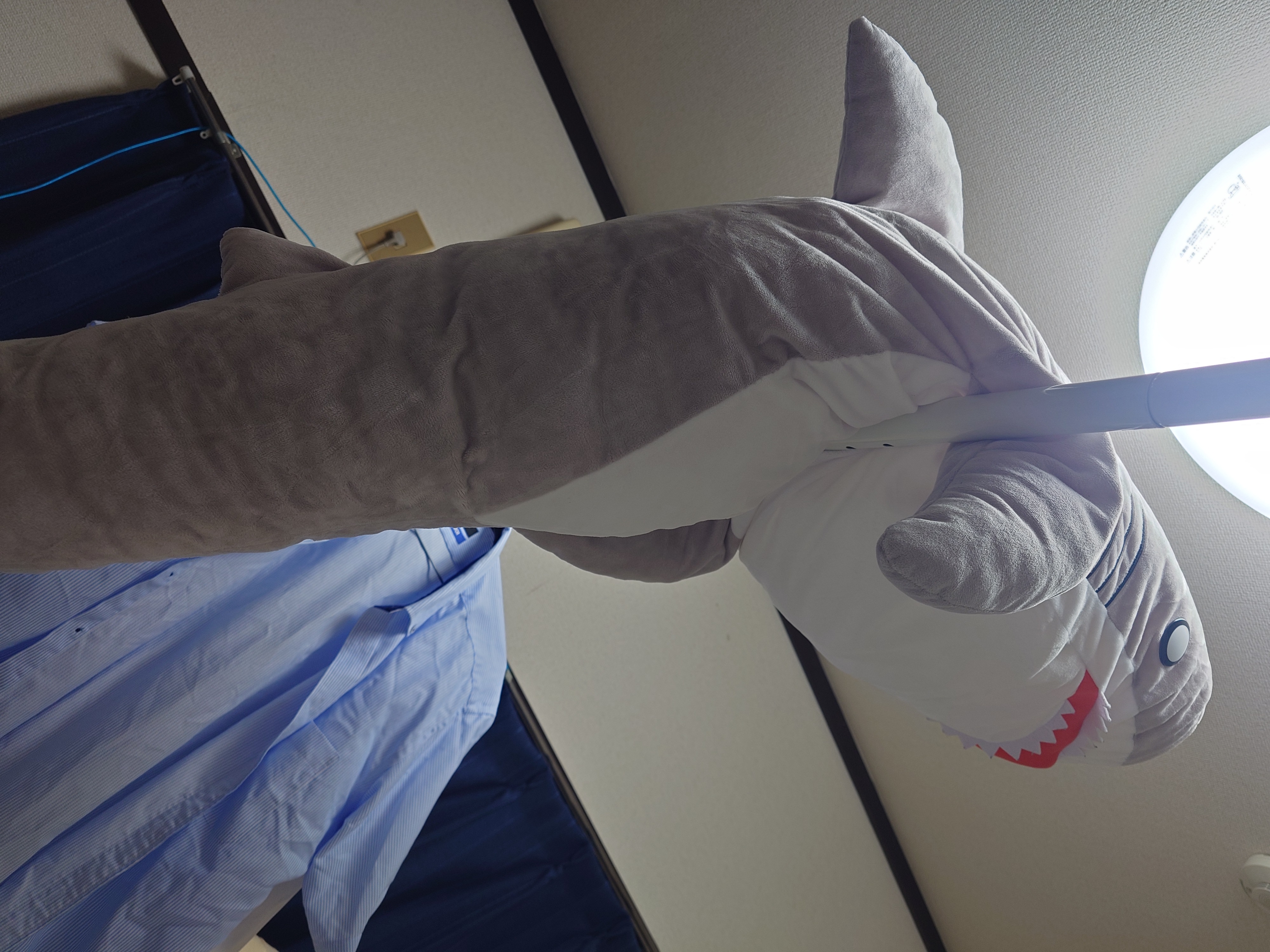 20260724_201435.JPG